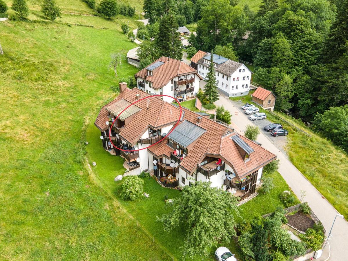 Winter-Nest Apartment Todtnau Exterior photo